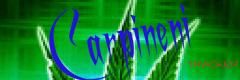 Ma laud cun site (100%by me) - Ma pot lauda cu siteul asta - Creatii propii